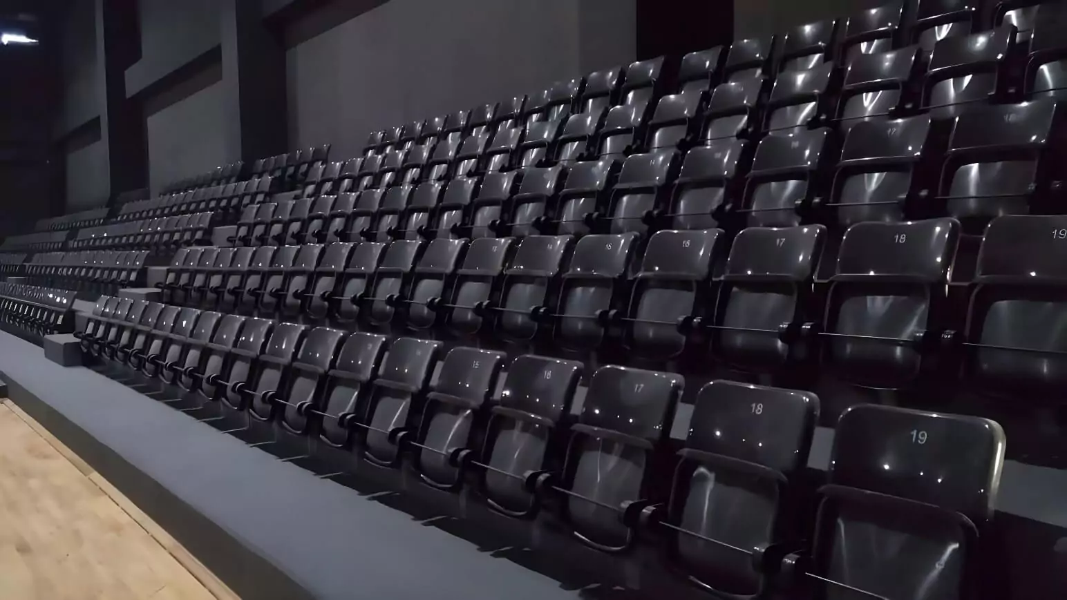 Multi-Purpose Arena Seating Project Image